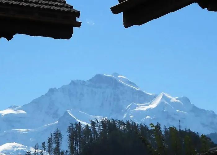 Апартаменти Jungfrau